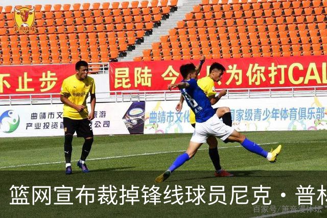 篮网宣布裁掉锋线球员尼克·普林格尔，开启新篇章